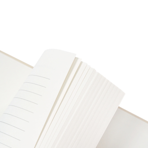 Journal de soins personnels avec impression personnalisée, journal de manifestation, journal quotidien de gratitude non daté, planificateur spirituel de positivité, carnet en lin A5 - Product Image 2