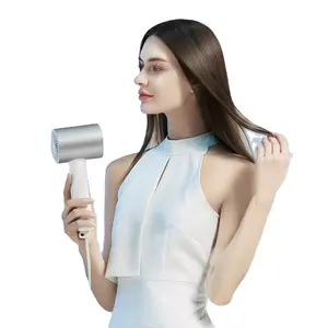 Xiaomi Mi Doppel-Wasser-Ionen-Haartrockner Weiß mit magnetischem Saugdüsen-Diffusor Xiaomi Home Tragbarer Haartrockner H500