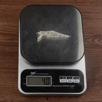 Corps de leurre de pêche Minnow en plastique préformé, 6,90 cm, 4,0 g, distance de volée N15, pour leurre dur
