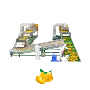 Mango pulp processing line Best Manufacturer Mango Processing Line Production Plant Mango Pulp Extracting Machine for Sale