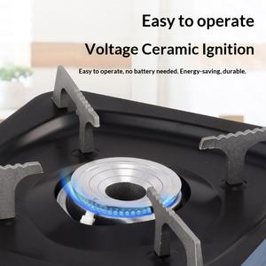 เตาแก๊สปิคนิคพกพา Baohe ป้องกันลม พร้อมอุปกรณ์จุดไฟ สำหรับตั้งแคมป์และปิ้งย่าง รองรับ 3-5 คน - Product Image 3