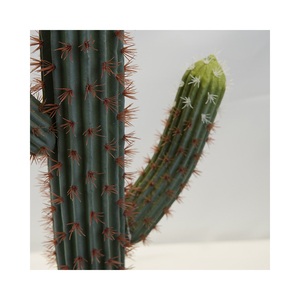 Cactus artificiel de <span class=keywords><strong>mexique</strong></span> Cactus Saguaro artificiel grand Cactus artificiel - Product Image 4