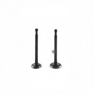 Wholesale RGX2400 Intake and Exhaust Valves 167F <b>Engine</b> <b>Mounting</b> for Gasoline Generator Parts-EY20 New 1 Year Warranty - Product Image 2