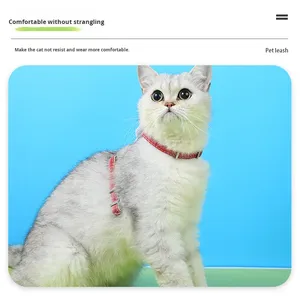 Laisse pour animaux de compagnie (chats, lapins) – Design mignon, anti-évasion, réglable, harnais en forme de I, en corde, sans risque d'étouffement - Product Image 3