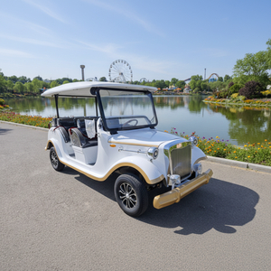 Minicoche Eléctrico Verde Claro de Cuatro Ruedas y Ocho Plazas, Vehículo de Nueva Energía, 72V, 35 km/h, Autonomía de 80-100 km, Autobús Turístico - Product Image 1