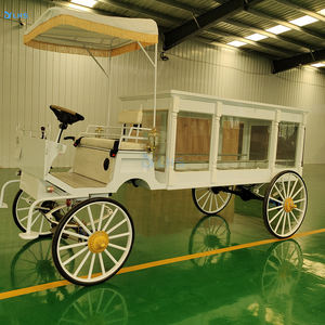 Coche funerario de columna romana blanca/diseño duradero carruaje fúnebre de moda/suministros de ataúd fúnebre para la venta - Product Image 5