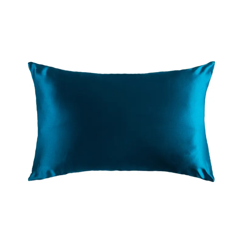 Decorative Bed Big Fashionable Elegant Beautiful Dark Teal Blue Green Grey Beige Full Size Silk Pillow Covers Cases