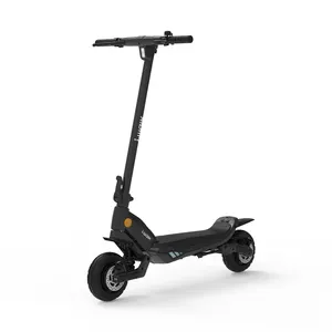 Yüksek güçlü e-scooter 1000w avrupa ayakta çift motorlu kick elektrikli scooter yetişkin için güçlü
