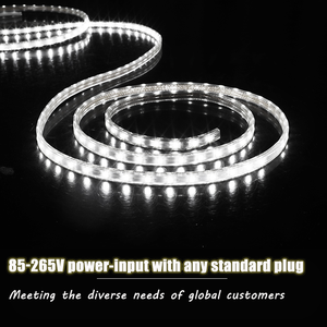 ไฟ LED แถบเดี่ยวสีเดียว 5050 220V 3000K 4000K 6000K 8 มม. 48D 60D แบบยืดหยุ่น ตัดได้ ใช้ในเชิงพาณิชย์และตกแต่งบ้าน กันน้ำ - Product Image 4