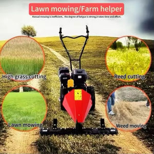 Decespugliatore a Benzina Automatico da 7 CV per Lavori Pesanti, Falciatrice a Motore per Prato in Vendita - Product Image 3