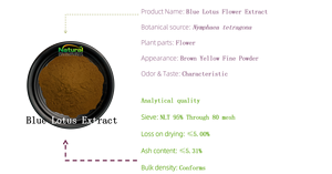 Gmp Nhà Sản Xuất Tinh Khiết Nymphaea Caerulea Màu Xanh Chiết Xuất Hoa Sen Khô Màu Xanh Chiết Xuất Hoa Sen Bột - Product Image 6