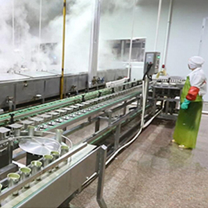 Conservas de estilo sucio Medames habas - Product Image 3