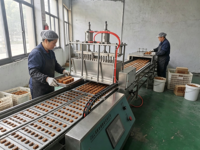 Fully Automatic Jaggery Brown Sugar Cube Making Machine with Control Panel