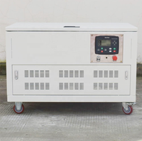Générateur d'essence monophasé 25 kW à faible bruit, refroidi par eau, 100 % cuivre, démarrage automatique pour la maison