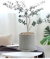 Pot de fleurs en ciment de 8 pouces avec soucoupe et support en bois, design moderne, auto-arrosant, pour intérieur ou extérieur
