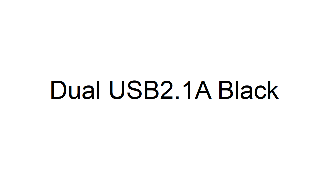 Dual USB2.1A Black