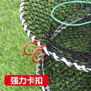 Trampa para camarones Chengye con resorte, de alambre de acero, plegable, automática, para acuicultura, para la pesca de cangrejos y anguilas - Product Image 3