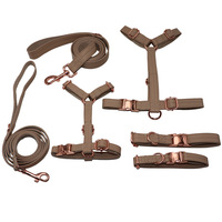 Collare, Guinzaglio e Pettorina in Materiale PU per Cani di Piccola e Media Taglia, Accessori per Animali Domestici