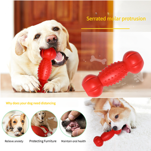 Top vente interactif TPR matériel extérieur eau flottant <span class=keywords><strong>chien</strong></span> formation Pet mâcher jouets mignon conception écologique en <span class=keywords><strong>gros</strong></span> - Product Image 5