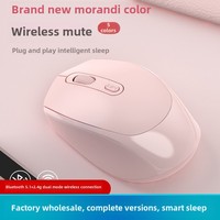 Ratón Inalámbrico 2.4G y Bluetooth de Modo Dual, Estilo RGB, Interfaz USB, Silencioso y Recargable, Compatible con Apple Mac y Computadoras de Oficina