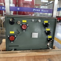 Transformateur de distribution d'énergie extérieur Ryan 50 kVA 150 kVA 250 kVA 7200 V, type huile, monophasé, monté sur socle