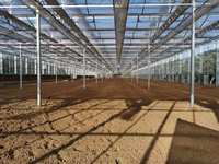 Serre multi-chapelles en verre pour la culture de fleurs et légumes – Système de serres agricoles