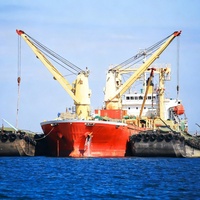 Sistem Pengangkat Hidrolik Derek Dek Kapal Industri 25 Ton untuk Galangan Kapal, Platform Lepas Pantai, dan Penanganan Kargo