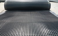 Membrane de drainage alvéolée abordable en HDPE et plaque de drainage en plastique pour murs de soutènement