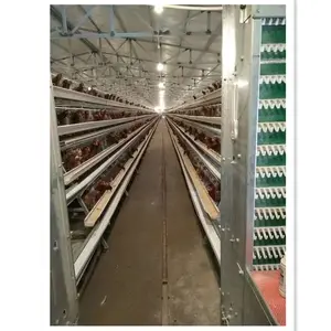 gevogelte supply kip kooien Suppliers-20 Jaar Supply Gevogelte Boerderij Kip Batterij Kooien Voor Lagen Voor Boerderijen In Nigeria