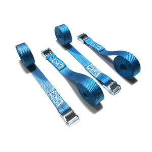 Großhandel Hochfeste 25mm Klemmschnalle Ladungssicherungsgurt mit Haken, Tiefenfarben-Polyester-Gurtband, Anpassbare Länge, Hebegurt - Product Image 4