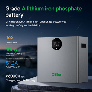 แบตเตอรี่ลิเธียมไอรอนฟอสเฟต (LiFePO4) แบบติดผนัง 5 กิโลวัตต์ชั่วโมง 51.2 โวลต์ 100 แอมป์ชั่วโมง สำหรับระบบสำรองไฟพลังงานแสงอาทิตย์สำหรับบ้าน ระบบออฟกริด และอินเวอร์เตอร์ไฮบริด - Product Image 6