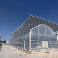 Serres de film plastique multi-travées pour l'agriculture commerciale Serre de système hydroponique pour légumes fruits fleurs