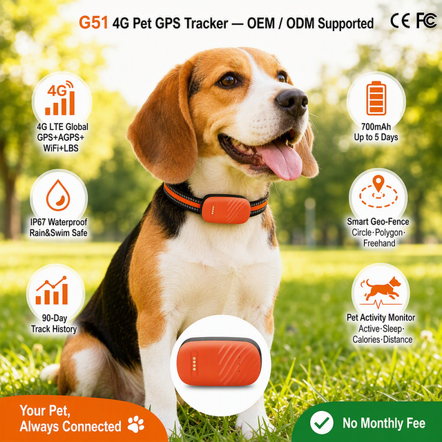 Best Selling Waterproof Pet GPS Tracker 4G LTE Real Time Dog Cat Animal GPS Tracking Device With Free Mobile APP