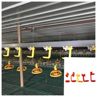 Nouvelles cages à poulets automatiques de type H pour l'élevage avicole avec mangeoire et abreuvoir, équipement d'élevage de poulets