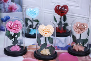 Rosa Eterna a Forma di Cuore in Cupola di Vetro, Regalo per la Festa della Mamma, Ispirato al Piccolo Principe - Product Image 5