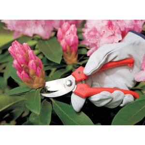 Forbici per Taglio Fiori in Acciaio Inossidabile Articolo 16 - Product Image 2