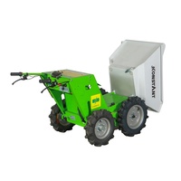 KONSTANT Farm Mini-Schubkarre Kleiner Kipper Mini-Dumper zum Verkauf Elektrischer Minidumper mit Hoher Ausdauer und Stabilität
