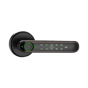 Security Digital Mobile Control Tuya APP wifi Home Biometric Eletronic password Key fingerprint handle smart lock