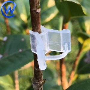 Agriculture Mini Plantes Greffé Silicone Tube Transparent <span class=keywords><strong>Tomate</strong></span> Greffage Clip 2.5 Mm Papillon Clip pour <span class=keywords><strong>Tomate</strong></span> Greffeur - Product Image 5