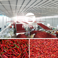 Machine de séchage de piments ShouChuang Chili Belt, machine de séchage de piments Capsicum Annuum, de clous de girofle, de pruneaux, d'abricots, de pruneaux