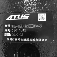 ATUS OEM Maßgefertigter P14 P24 P30 Patronen-Ersatz Variabler Verdrängungs-Axialkolben Teilesatz Hydraulikpumpe