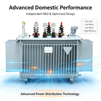 50kva 10kv 11kv 415v 480v 60Hz Üç Fazlı Dış Mekan İki Sargılı Tam Bakır Yağlı ONAN/ONAF Soğutmalı Güç Trafosu