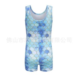 Cwfs790 bán buôn New Coming Chất lượng cao giá rẻ Spandex thoáng khí chàng trai dancewear Thể dục dụng cụ unitards cho bán - Product Image 5
