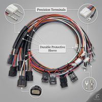 Arnés de Cableado Personalizado, Conector Macho-Hembra Multipin, Ensamblaje de Cables con Malla Protectora Corrugada, Cable Trenzado Multicolor