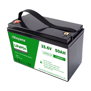Koyama Lithium Iron Phosphate <b>Battery</b> <b>24V</b> 50Ah 100Ah 200Ah <b>Batteries</b> for Marine Golf Cart Home Energy Solar Storage - Product Image 2