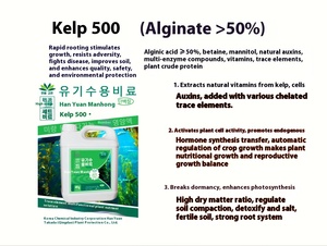 Hữu cơ alginic axit rong biển phân bón chất lỏng chất diệp lục lá phun cho cây ăn quả & hoa bảo vệ thả mở rộng - Product Image 3