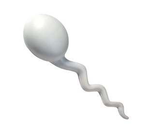 ストレスボールカスタム精子Puストレスリリーフストレスおもちゃ - Product Image 2