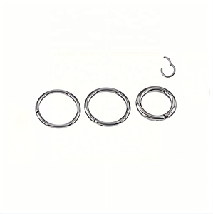 Anneau segmenté articulé en titane poli uni pour <span class=keywords><strong>piercing</strong></span> corporel, vente en gros - Product Image 5
