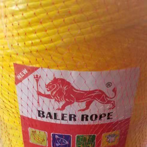 2mm Pp <span class=keywords><strong>Baler</strong></span> <span class=keywords><strong>Twine</strong></span> 1000g harga yang baik ketahanan tinggi pertanian kemasan benang - Product Image 2