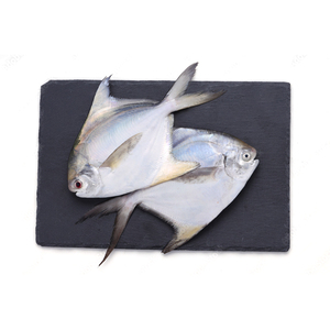 Argent Pomfret Pampus Argenteus Poisson Chine Blanc Pomfret Poisson Prix - Product Image 4